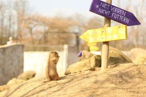 【全球疫情最新情况死亡多少/全球疫情最新情况死亡多少人】