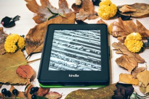 寻找一款“新绍兴麻将有挂没”揭秘开挂教程分享