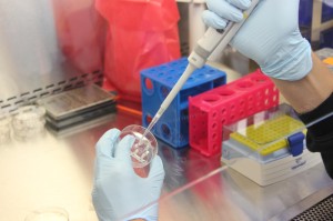 广东疫情最新播报，科学防控下的动态清零之路