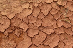 非洲疫情什么情况（非洲疫情什么情况最严重）