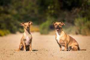 【疫情是哪年哪月解封的/疫情是什么时候解封的】