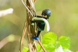 疫情动态一目了然，最新数据地图查询工具使用指南