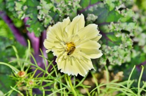 [推荐]“花花生活圈有没有挂”(原来确实是有挂)