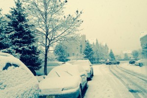 藁城疫情，那个冬天，警报如何骤然拉响