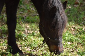 必看实操“海蓝大厅怎么开挂”其实有挂