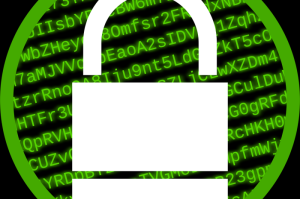 第一攻略.“熊猫金花怎么开挂”[详细介绍开挂内幕]