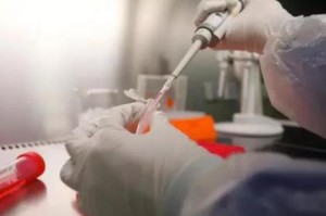 全球疫情排名榜（全球疫情排名榜最新）