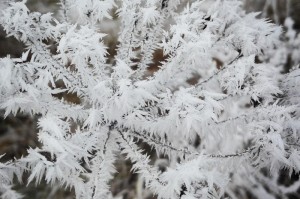 经验总结.“麦穗app推筒子要怎么开挂”(确实是有挂)