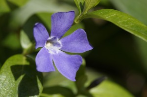 必看教程“沐沐福建麻将竟然有挂”详细开挂教程