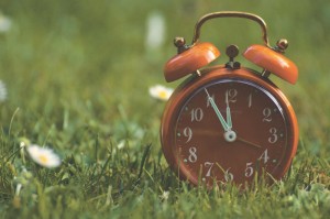 【第一攻略】“豆豆游戏有挂吗,其实有挂是吗”(其实真的能开挂)