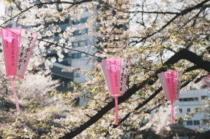 玩家必看攻略“皇后牛牛到底能不能开透视挂”分享装挂详细步骤