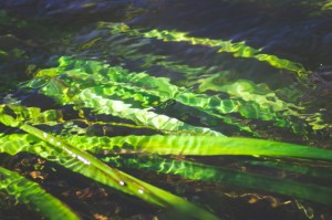 重大发现“个旧麻将真的有挂吗”［确实真的有挂］