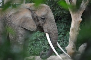 重庆疫情实时动态更新/重庆疫情实时动态更新情况