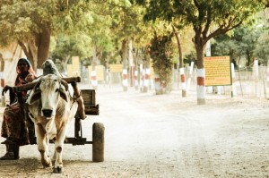 关于“道游牛牛真的有挂”揭晓插件开挂教程