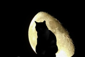 知道“海星大厅可以开挂吗？”真的确实有挂乎