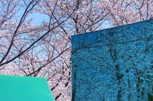 【上海疫情什么时候开始解封,上海疫情什么时候开始解封的】