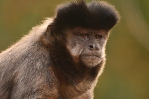 全球最新疫情死亡人数表/全球最新疫情死亡人数表格