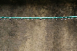 【疫情属于哪种病毒/疫情属于哪种病毒类型】