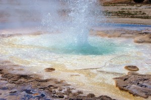 重大通报.“启航联盟到底能开挂吗”[详细开挂玩法]