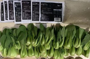 上海疫情什么时候严重一点了/上海疫情什么时候严重一点