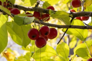 [推荐]“福建十三道可以开挂吗”开挂详细教程