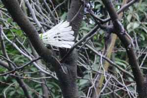 ［玩家实测］“哥哥斗地主有挂吗”［果然有透视挂］