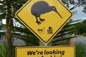 [推荐]“链接新道游有没有挂”(原来确实是有挂)