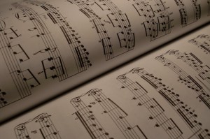 最新引进“乐斗小院究竟有挂吗”［其实是有挂］