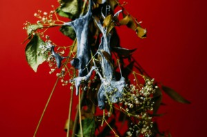 终于出现"“西兵互娱金花真的有挂”(其实有挂)