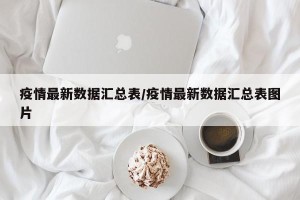 疫情最新数据汇总表/疫情最新数据汇总表图片