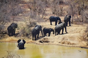 非洲国家的疫情/非洲国家的疫情严重吗