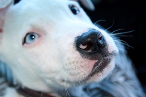 揭秘一下“红龙扑克真的有挂”揭晓插件开挂教程