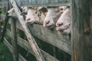 最新消息“水仙大厅开挂辅助器”(详细教程辅助工具)