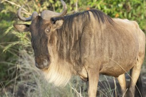 轻松掌握.“江湖梦有挂吗果然有挂”(原来真的可以开挂)