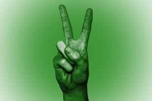 科普实测“新青鸟大厅到底有透视挂吗”(的确有挂)