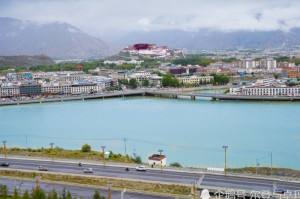 重大发现“欢聚水鱼虎步龙行是不是有挂”［确实真的有挂］