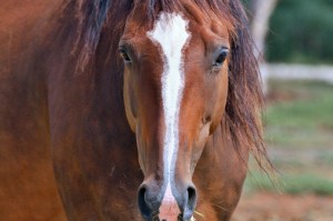 北京最新疫情地图实时动态（北京最新疫情地图实时动态查询）