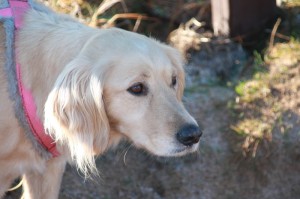 ［解答］“传送屋激k可以开挂吗”［外卦神器下载］