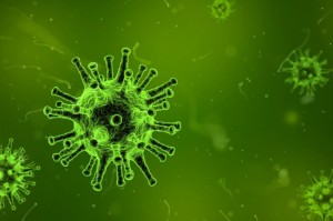 新冠病毒疫情从什么时候开始的呢/新冠病毒疫情从什么时候开始的