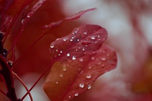 【全球疫情实时动态走势图,全球疫情实时动态走势图最新】