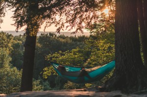 [分享]“四方棋牌怎么开挂”开挂详细教程